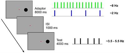 Electrophysiological correlates of temporal numerosity adaptation